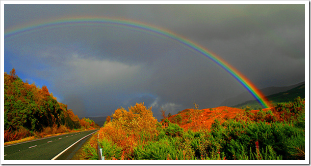 Why do Rainbows make People feel Happy?